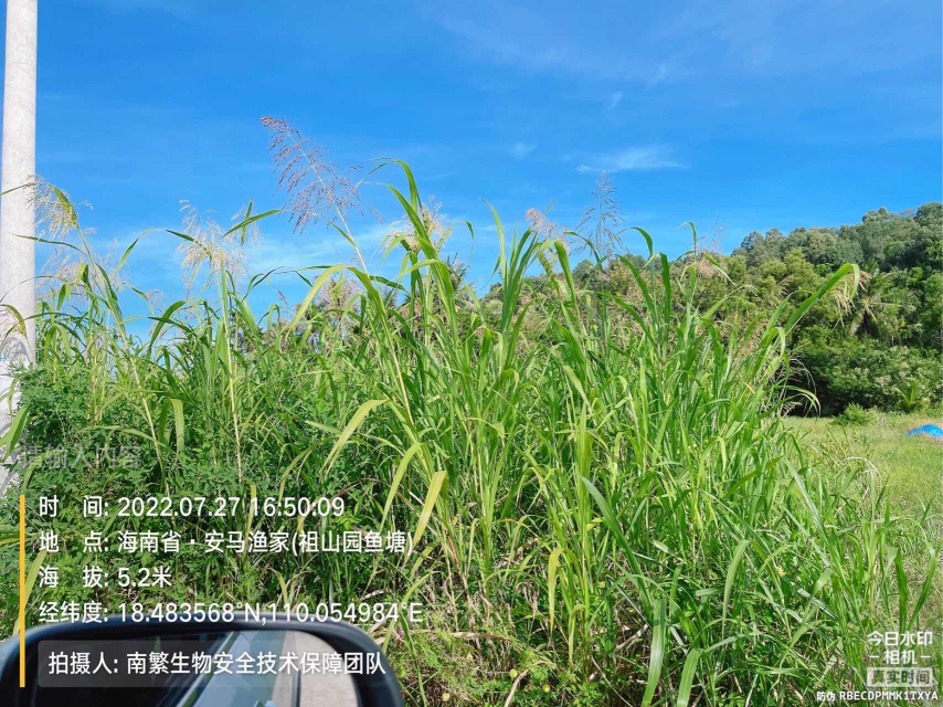 请输入内容…
