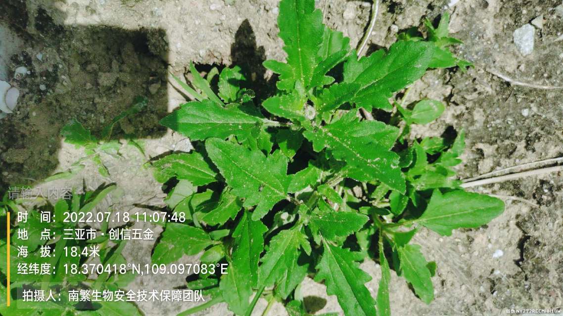 请输入内容…