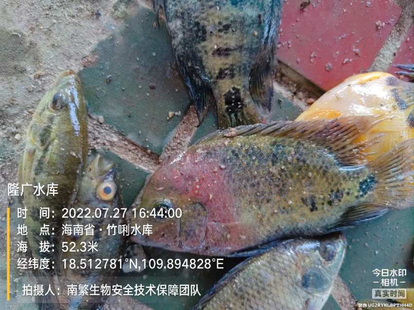 隆广水库