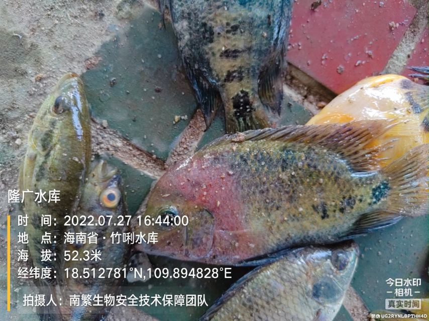 隆广水库