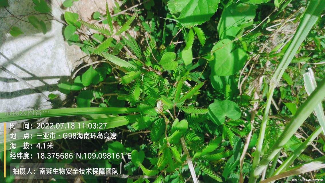 请输入内容…
