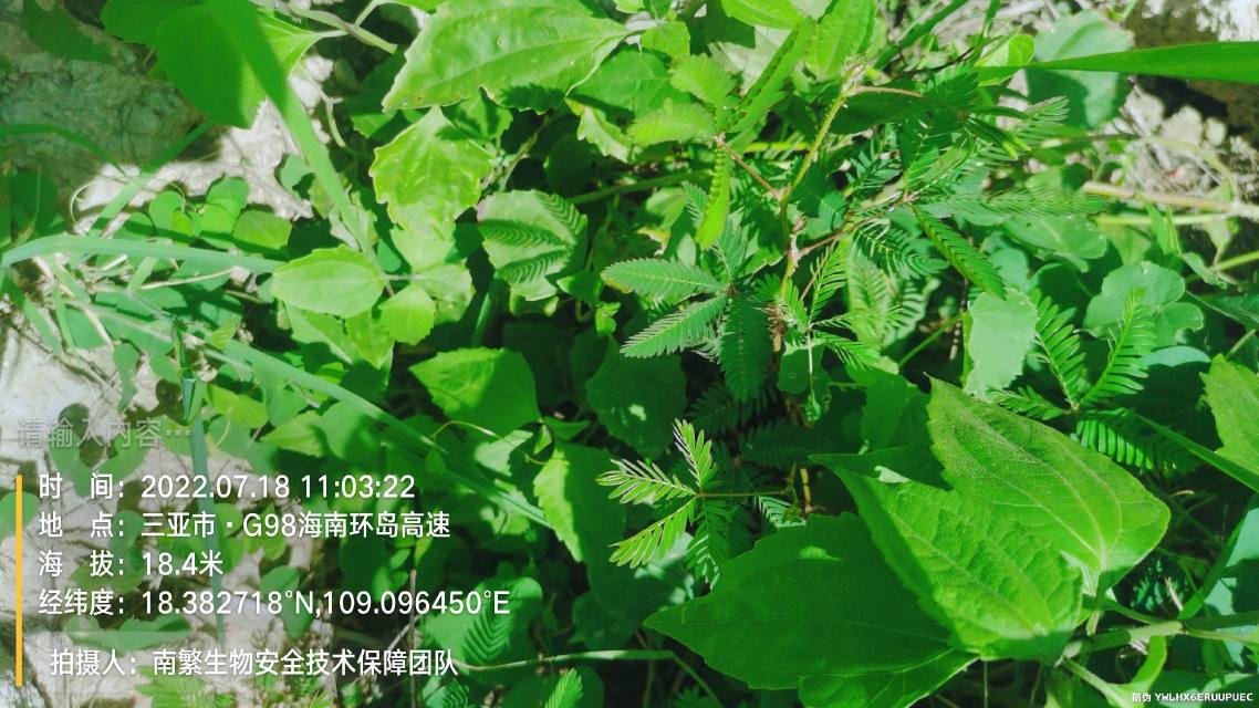 请输入内容…