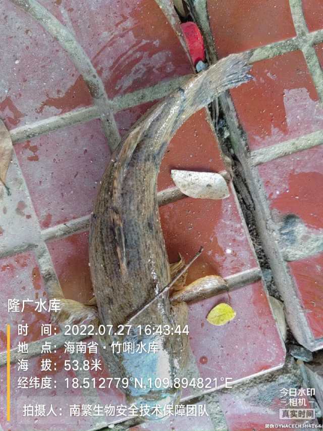 隆广水库