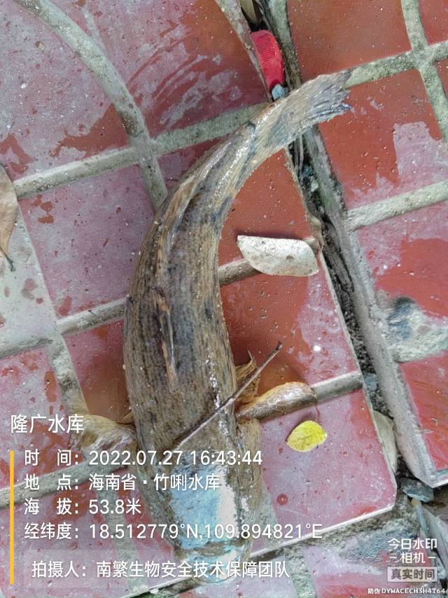 隆广水库