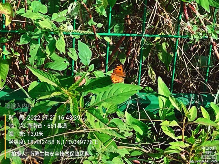 请输入内容…