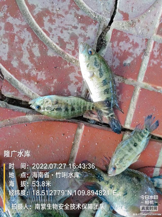 隆广水库