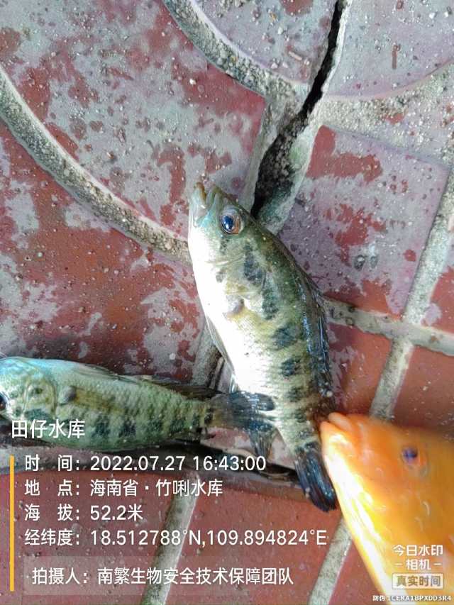 田仔水库