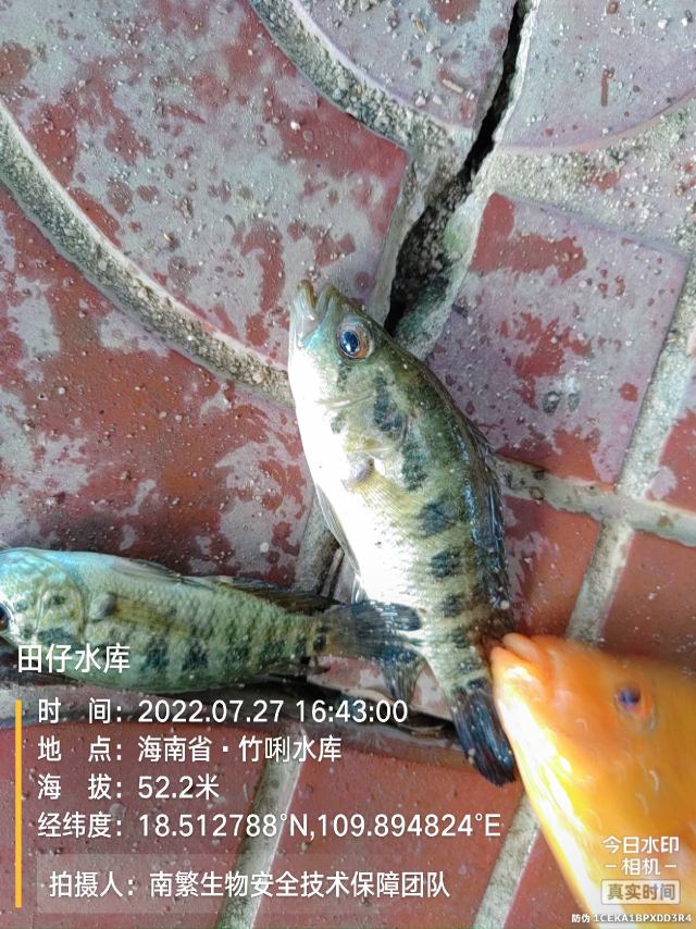 田仔水库