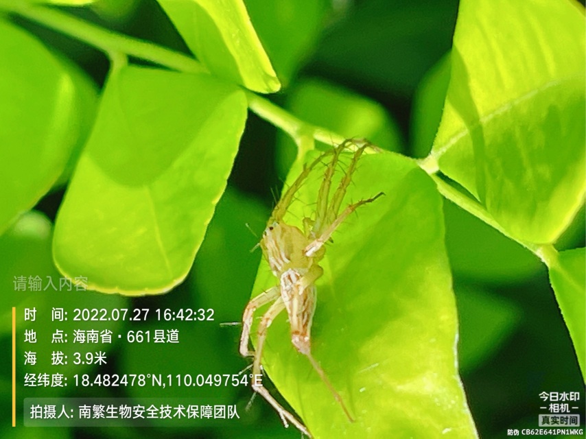 请输入内容…