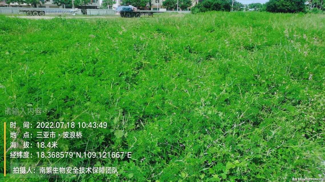 请输入内容…
