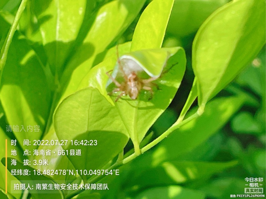 请输入内容…