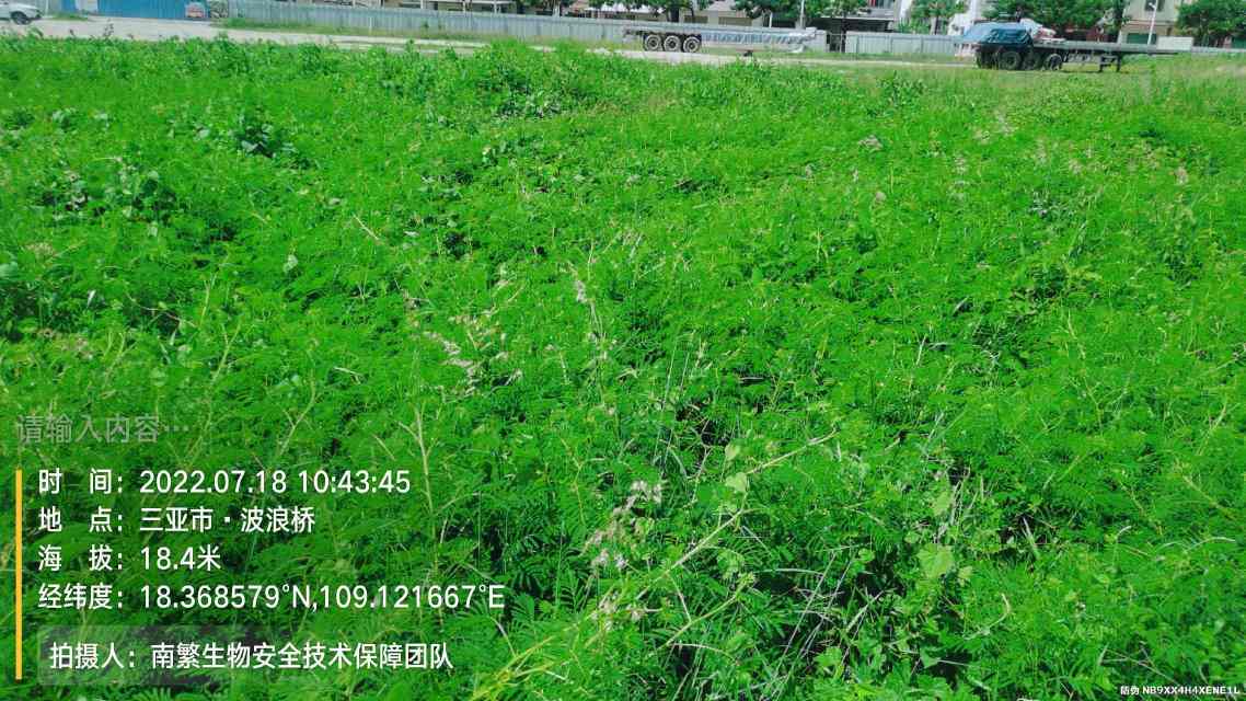 请输入内容…