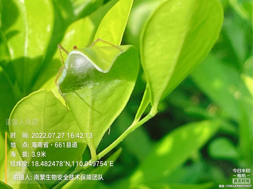 请输入内容…