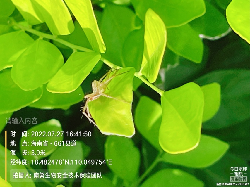 请输入内容…