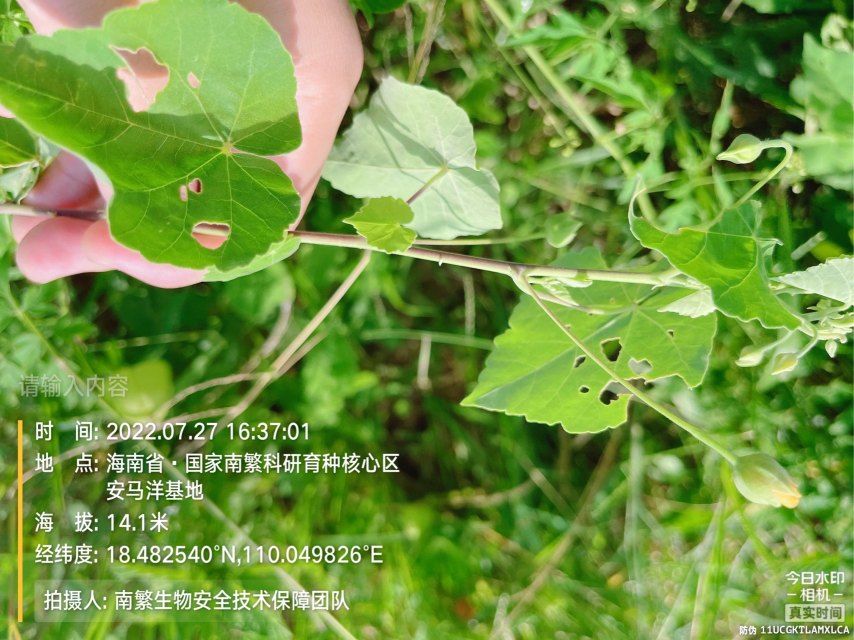 请输入内容…