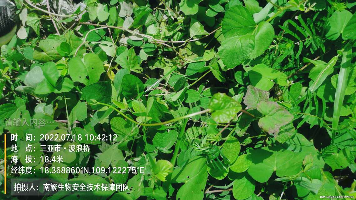 请输入内容…