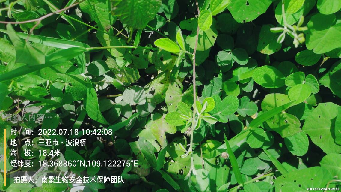 请输入内容…