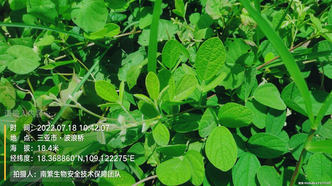 请输入内容…