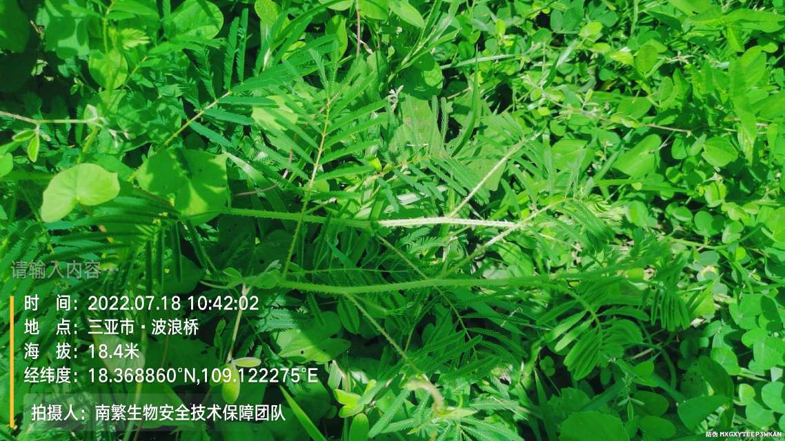 请输入内容…