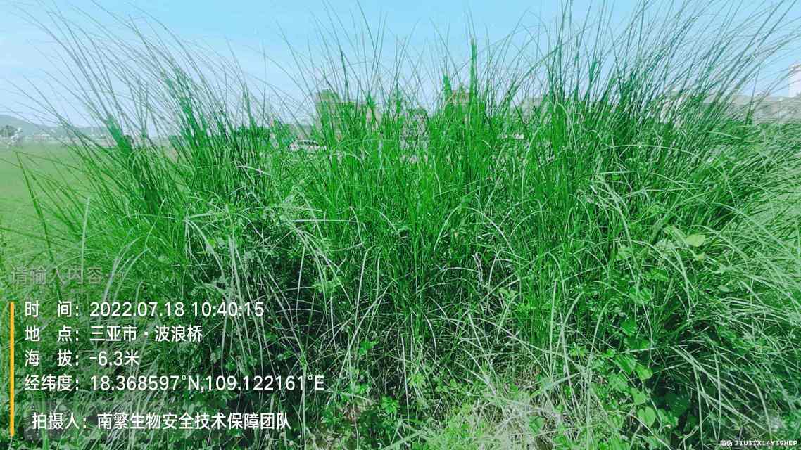 请输入内容…