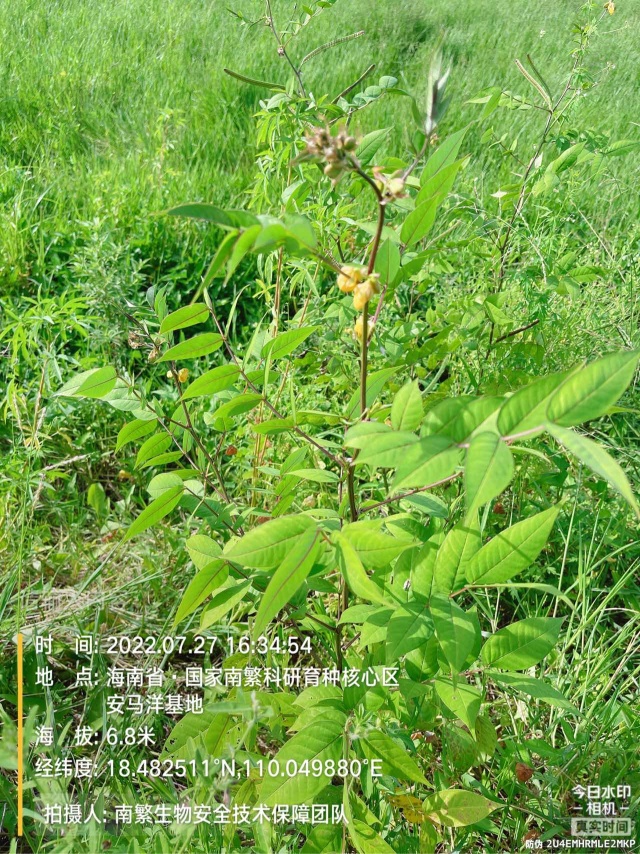 请输入内容…