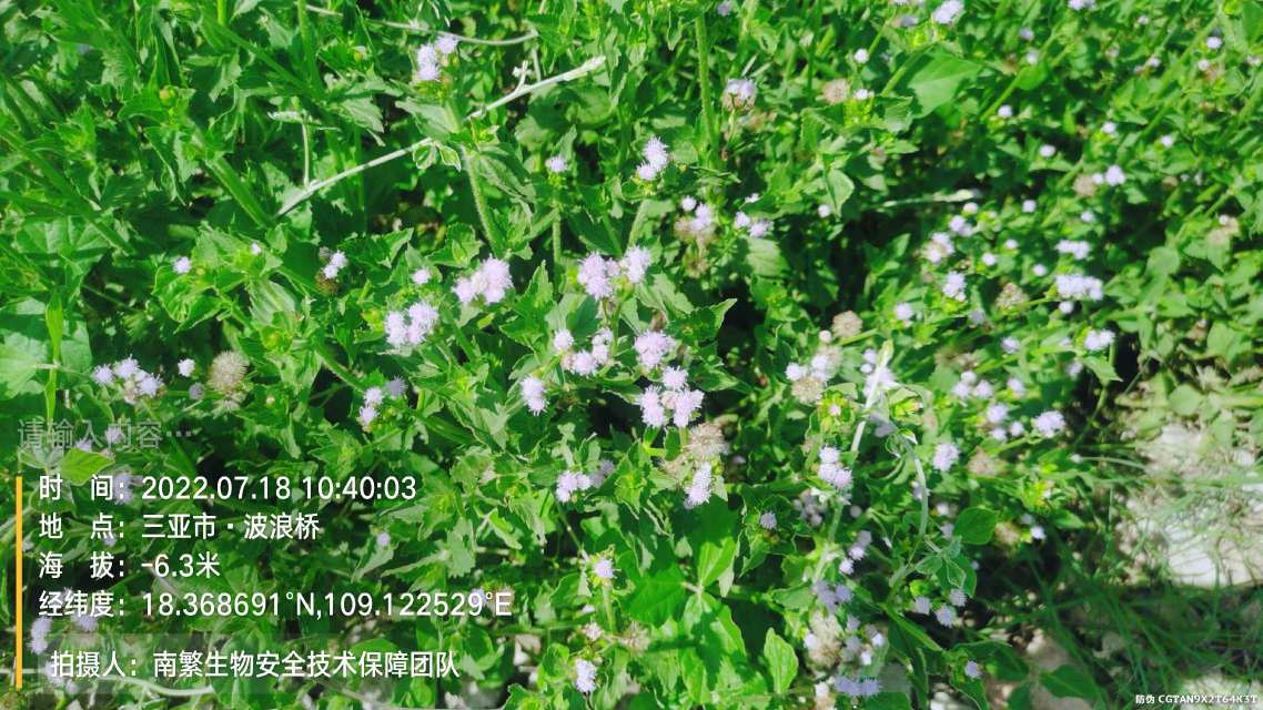 请输入内容…