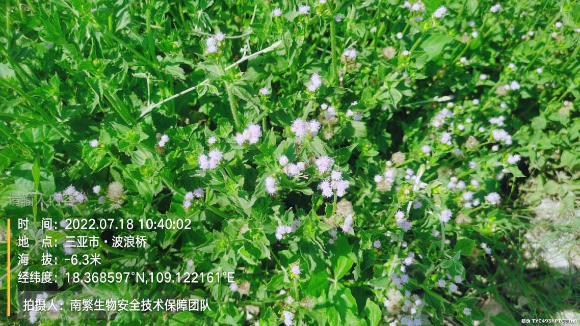 请输入内容…