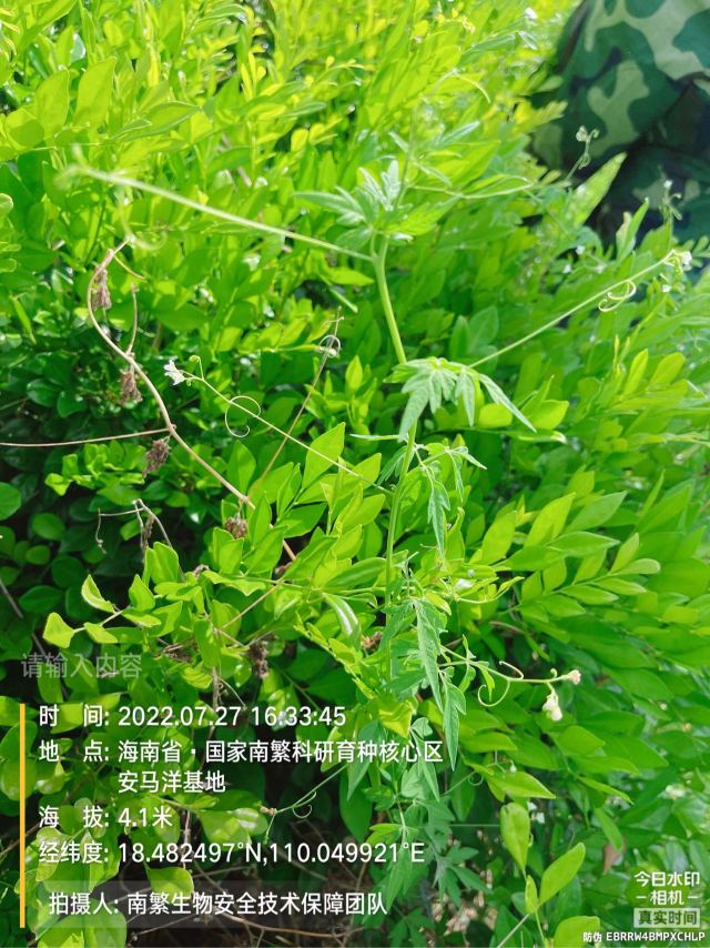 请输入内容…