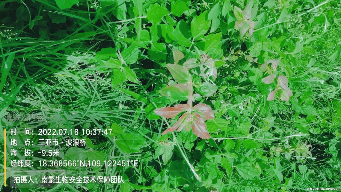 请输入内容…