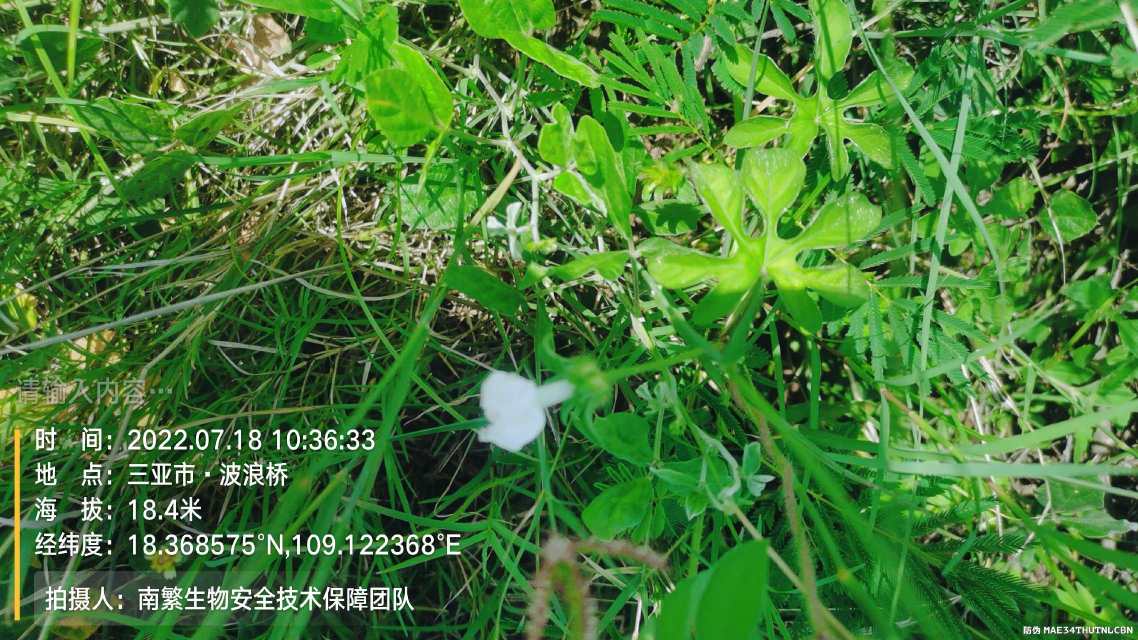 请输入内容…