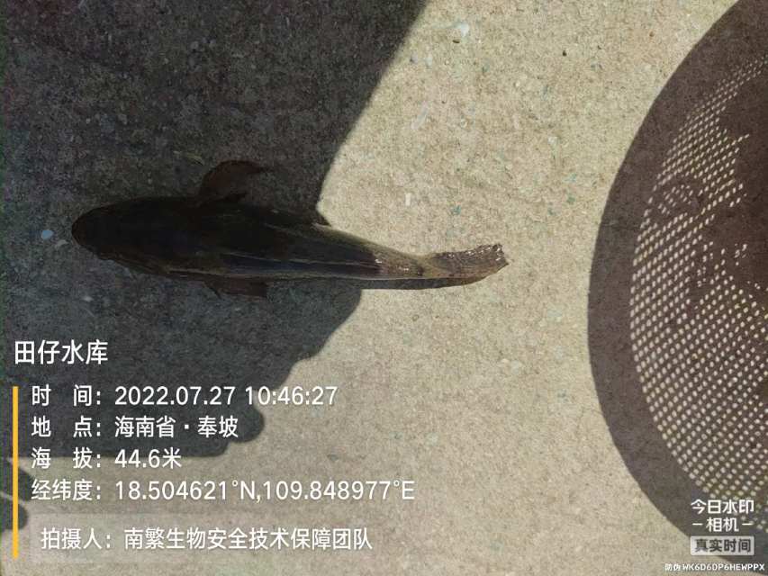 田仔水库