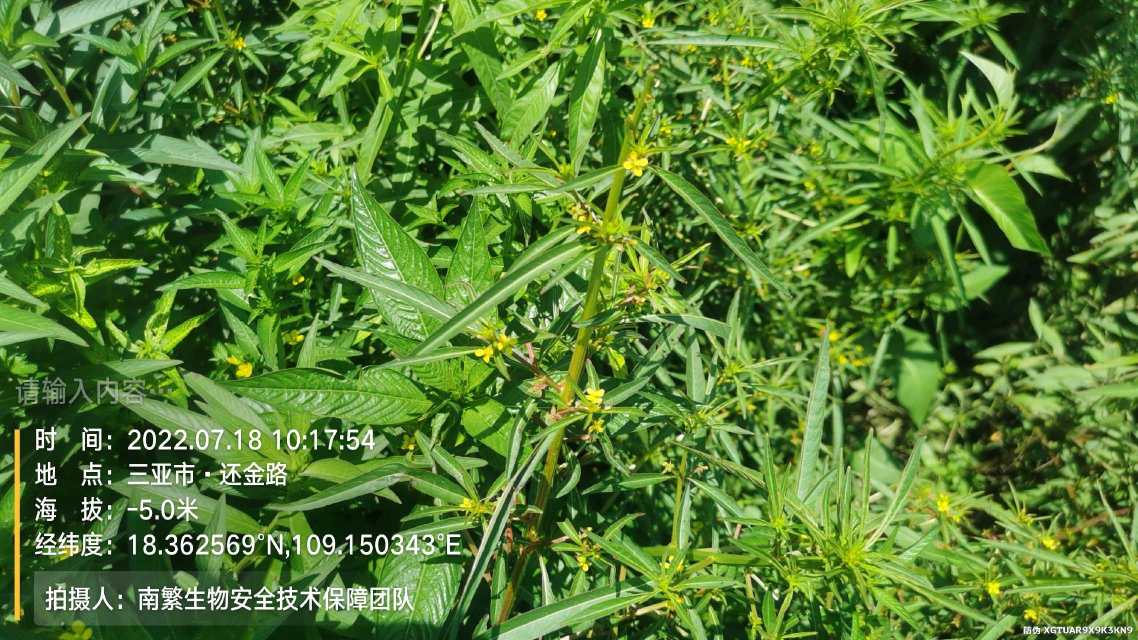 请输入内容…