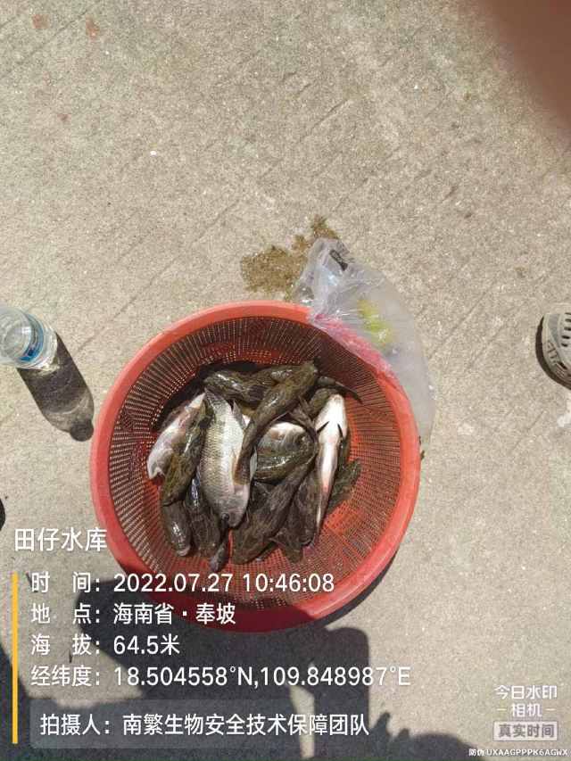 田仔水库