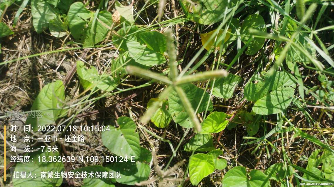 请输入内容…