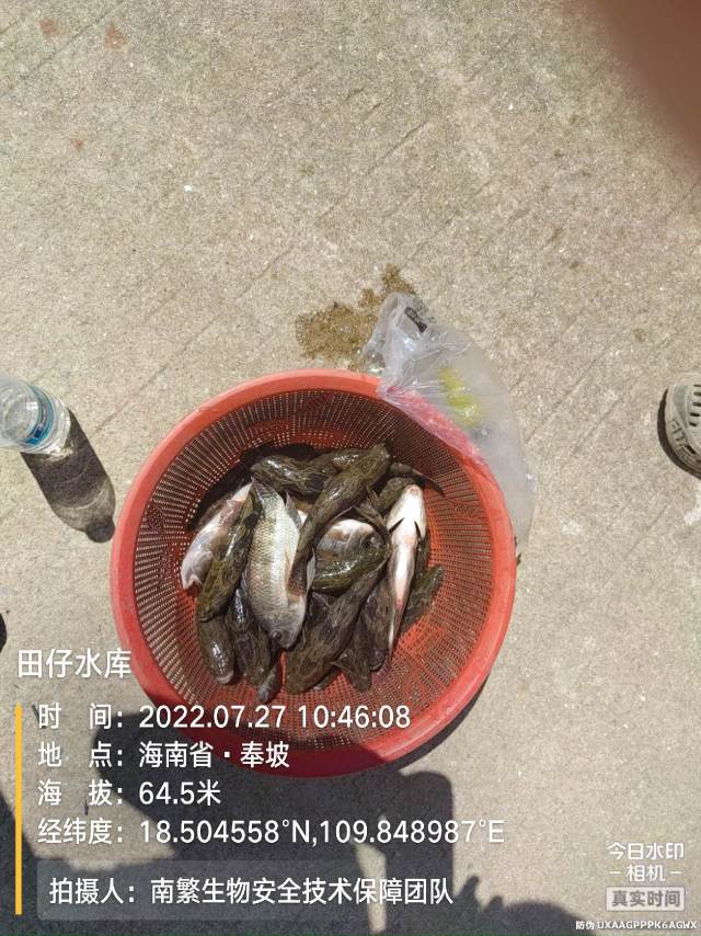 田仔水库