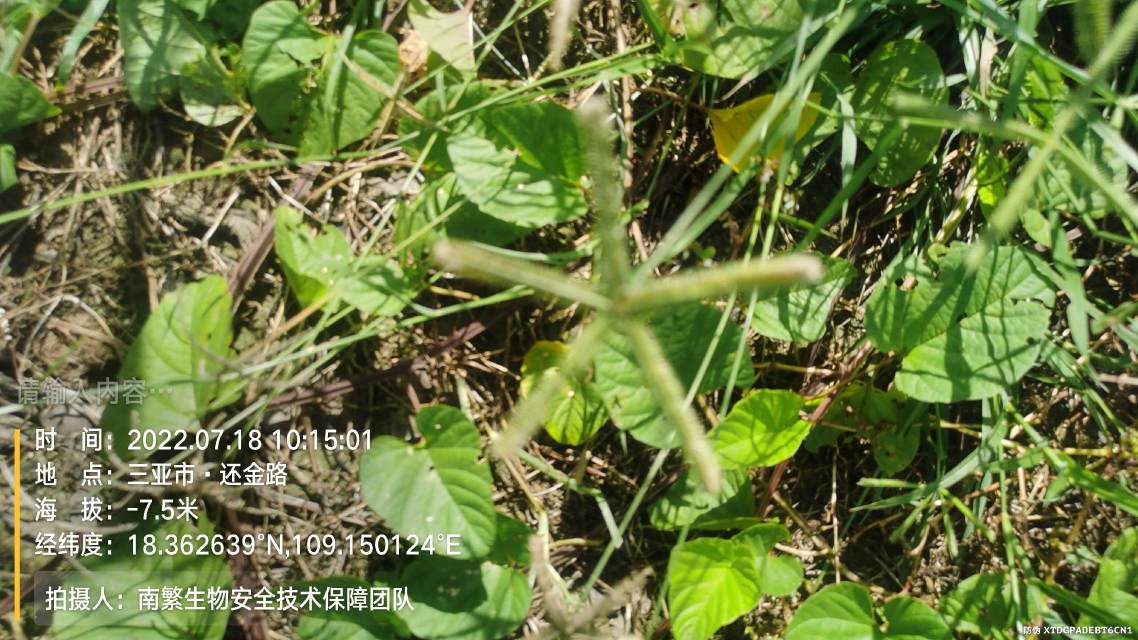 请输入内容…