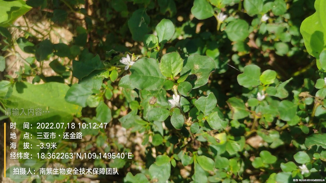 请输入内容…
