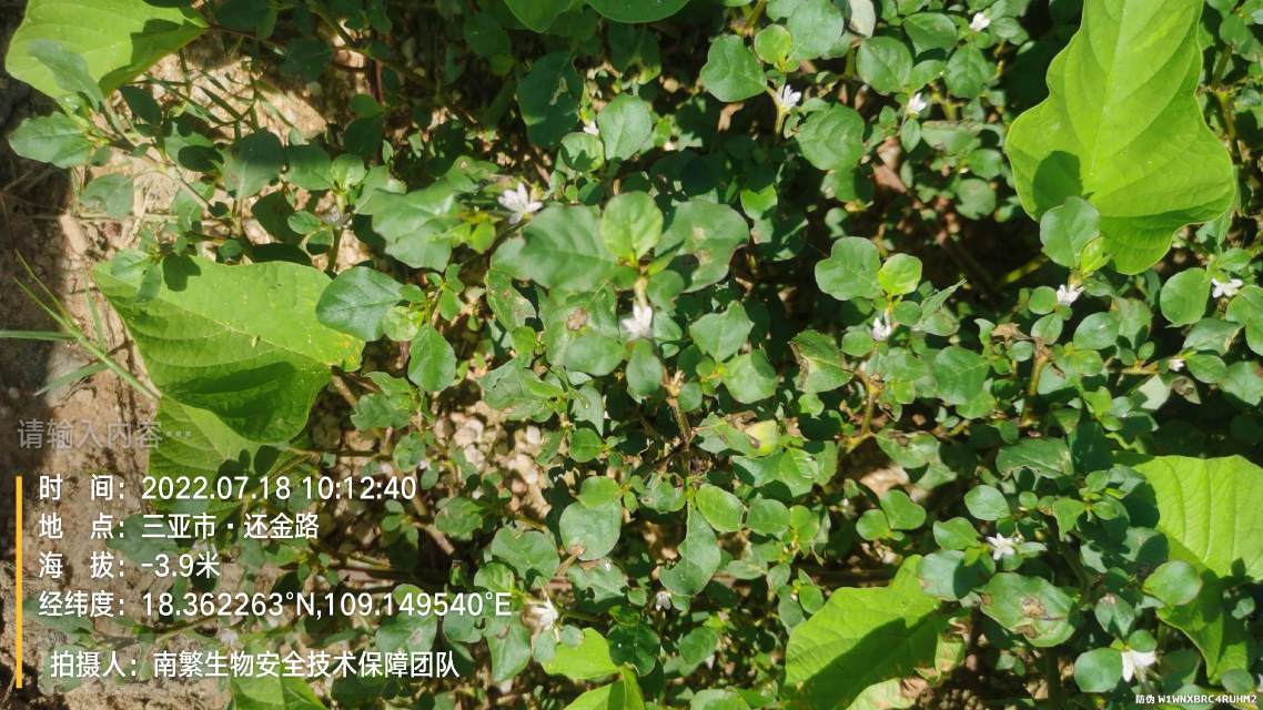 请输入内容…