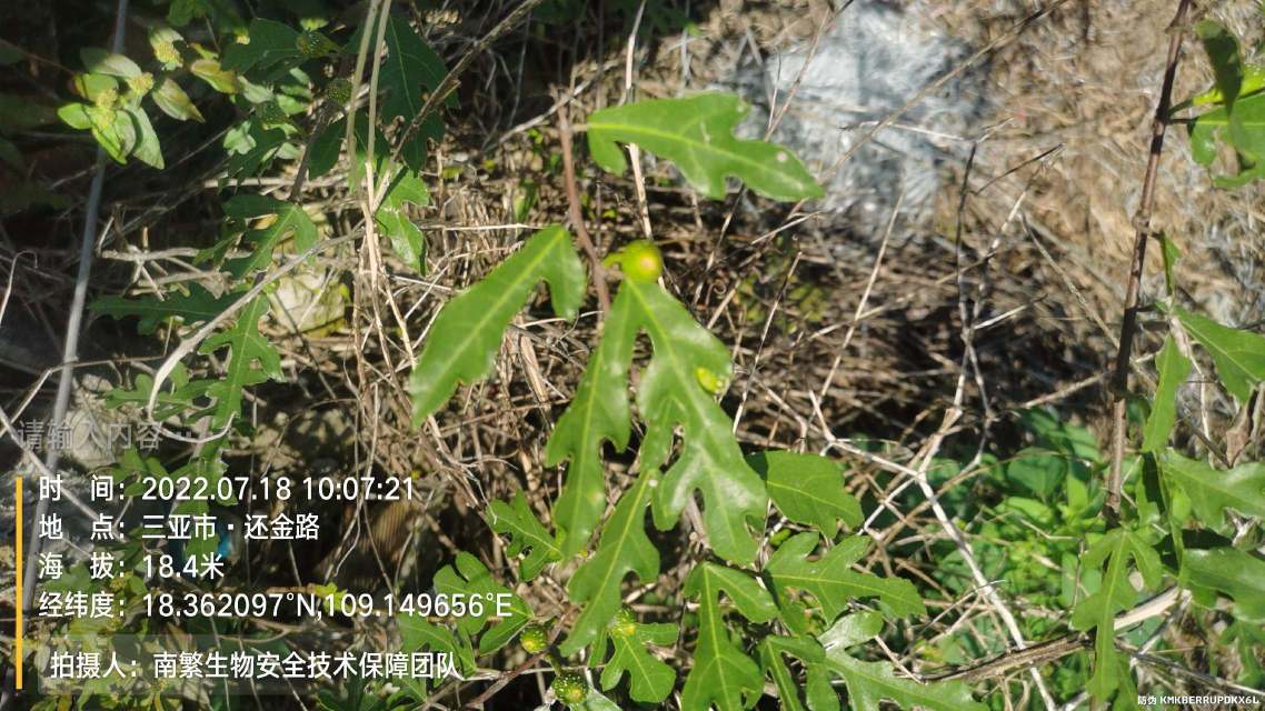请输入内容…