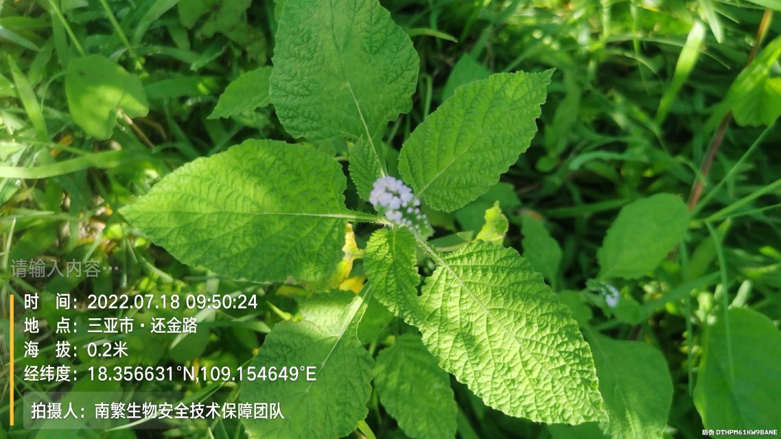 请输入内容…