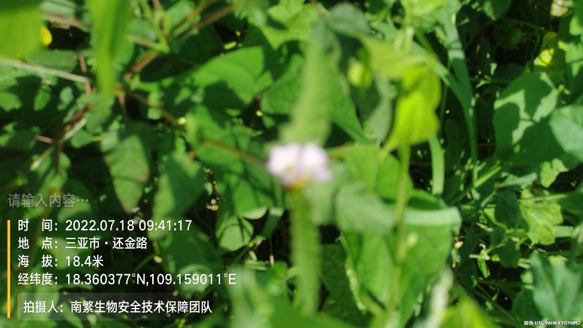 请输入内容…