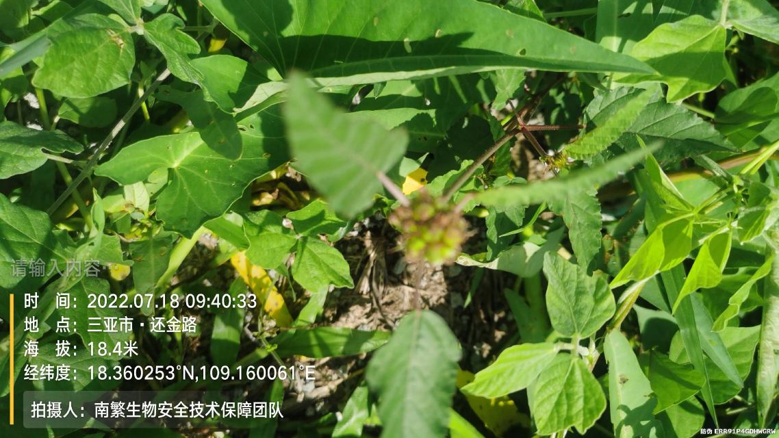 请输入内容…