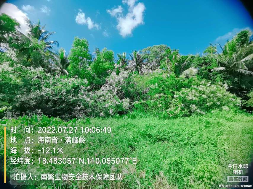 请输入内容…