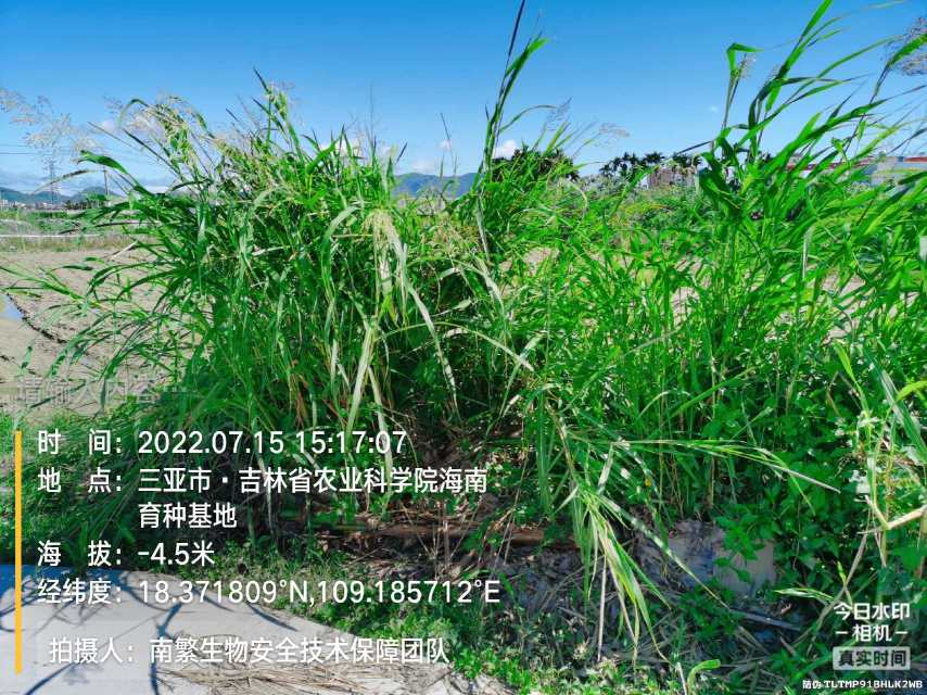 请输入内容…
