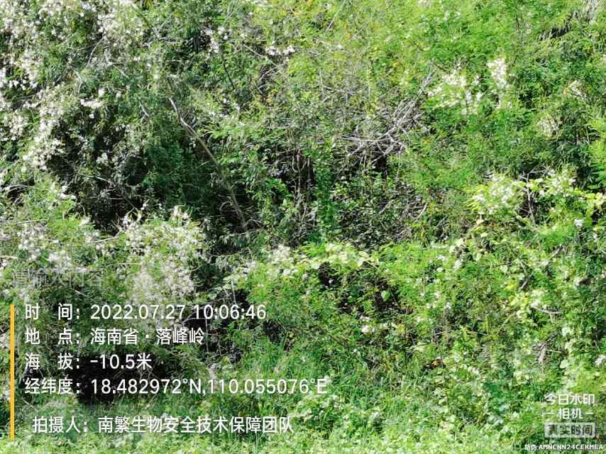 请输入内容…