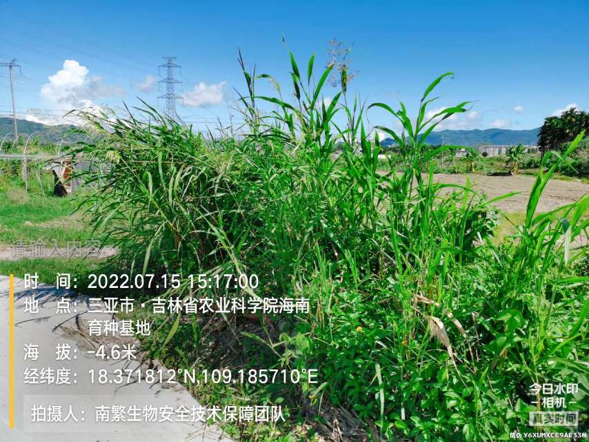 请输入内容…
