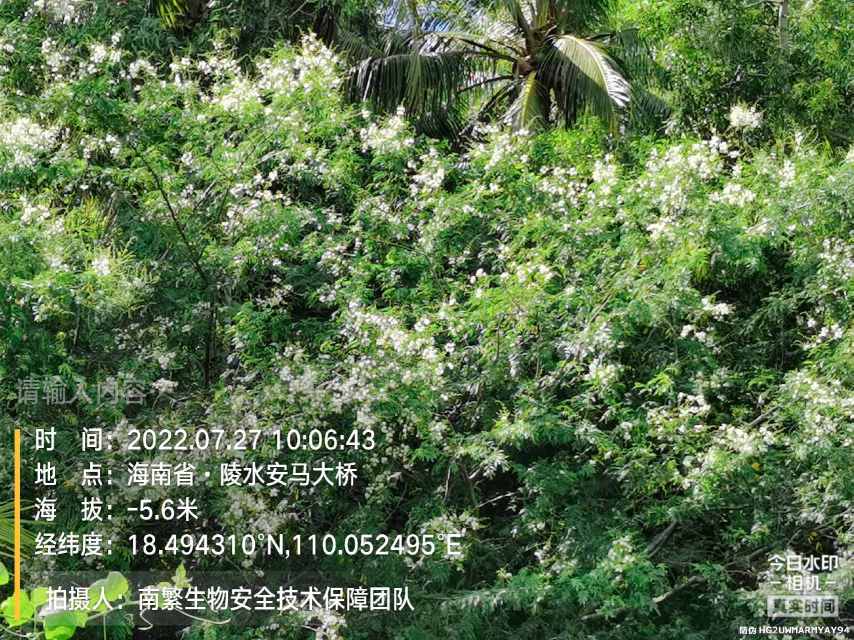 请输入内容…