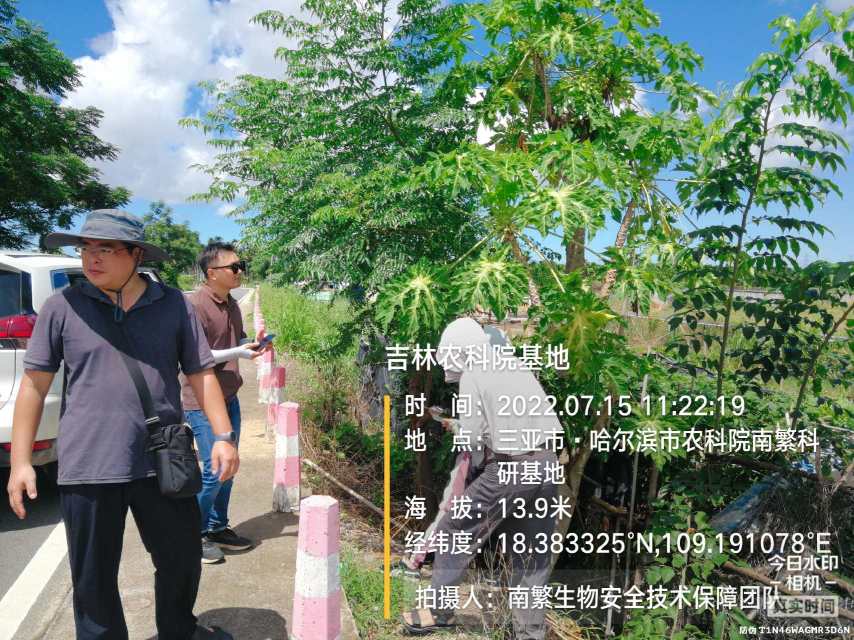 吉林农科院基地
