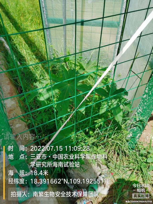 请输入内容…