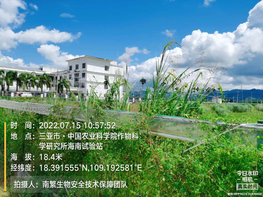 请输入内容…